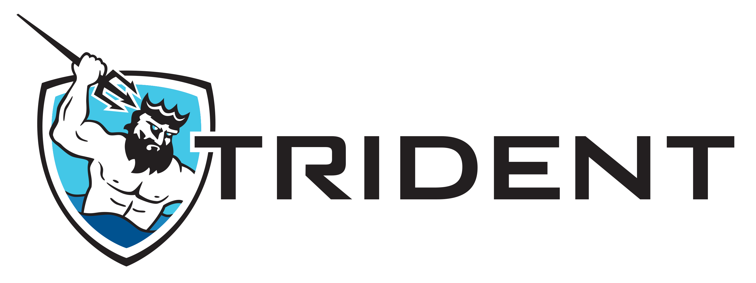 Trident's. Trident компания. Trident Design рекламное агентство. Trident s.r.l logo. Trident директор.